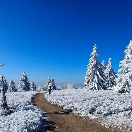 Apart-hotel Hapimag Winterberg