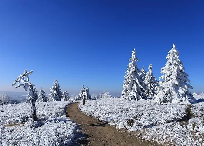 公寓式酒店 Hapimag